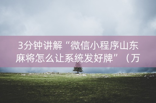 3分钟讲解“微信小程序山东麻将怎么让系统发好牌”（万能开挂神器)