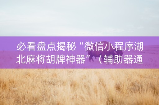 必看盘点揭秘“微信小程序湖北麻将胡牌神器”（辅助器通用版)