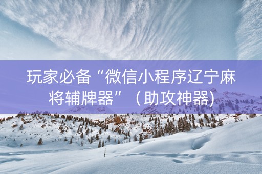 玩家必备“微信小程序辽宁麻将辅牌器”（助攻神器)
