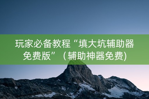 玩家必备教程“填大坑辅助器免费版”（辅助神器免费)