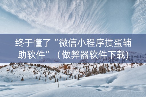 终于懂了“微信小程序掼蛋辅助软件”（做弊器软件下载)