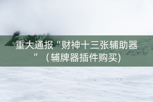 重大通报“财神十三张辅助器”（辅牌器插件购买)