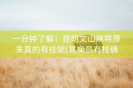 一分钟了解！昆明文山麻将原来真的有挂呢(其实是有挂确实有挂)