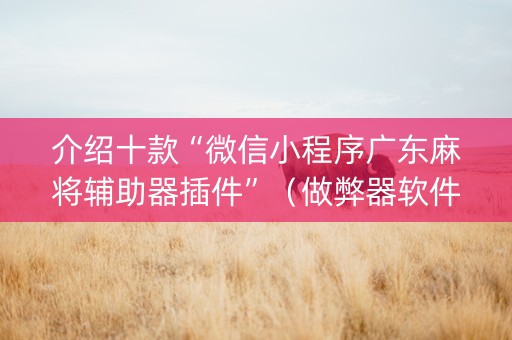 介绍十款“微信小程序广东麻将辅助器插件”（做弊器软件下载)