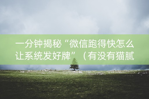 一分钟揭秘“微信跑得快怎么让系统发好牌”（有没有猫腻)