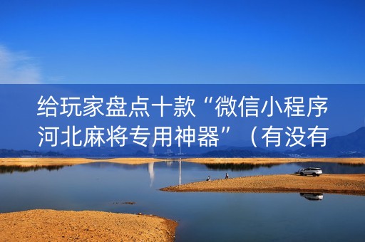 给玩家盘点十款“微信小程序河北麻将专用神器”（有没有猫腻)