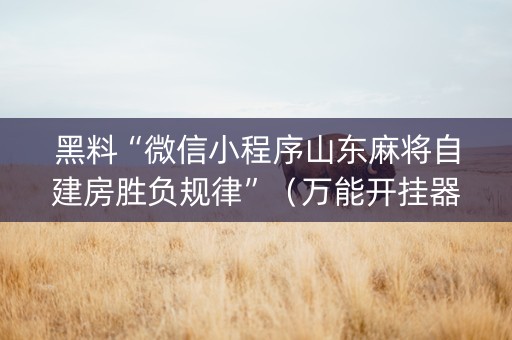 黑料“微信小程序山东麻将自建房胜负规律”（万能开挂器)