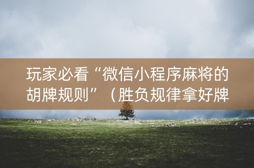 玩家必看“微信小程序麻将的胡牌规则”（胜负规律拿好牌)