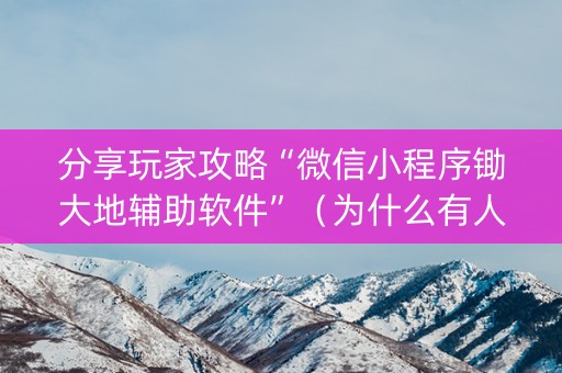 分享玩家攻略“微信小程序锄大地辅助软件”（为什么有人一直赢)