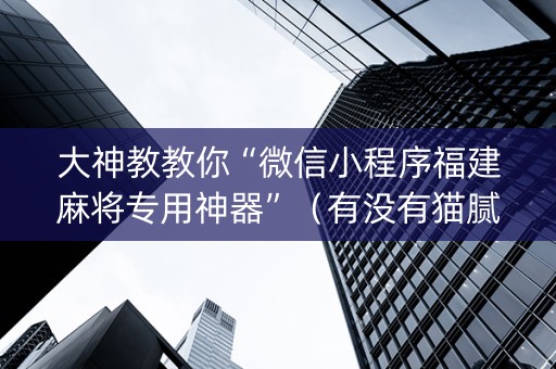 大神教教你“微信小程序福建麻将专用神器”（有没有猫腻)