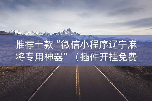 推荐十款“微信小程序辽宁麻将专用神器”（插件开挂免费AI)