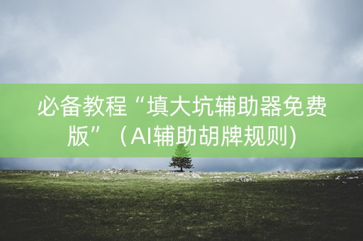 必备教程“填大坑辅助器免费版”（AI辅助胡牌规则)