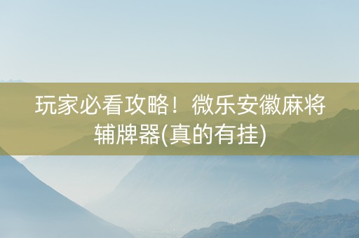 玩家必看攻略！微乐安徽麻将辅牌器(真的有挂)