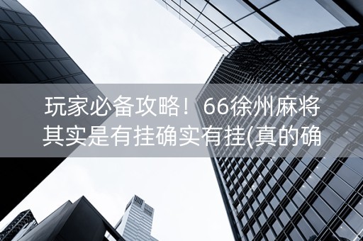 玩家必备攻略！66徐州麻将其实是有挂确实有挂(真的确实是有挂)