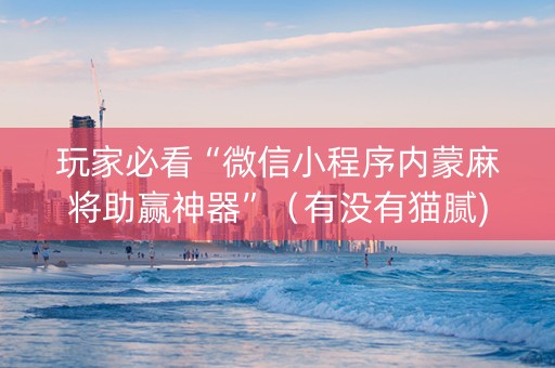 玩家必看“微信小程序内蒙麻将助赢神器”（有没有猫腻)