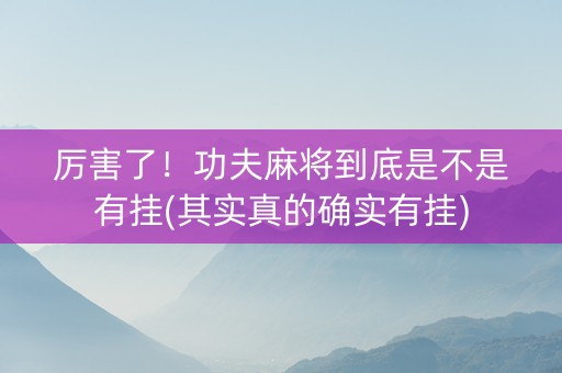 厉害了！功夫麻将到底是不是有挂(其实真的确实有挂)