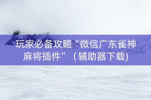 玩家必备攻略“微信广东雀神麻将插件”（辅助器下载)