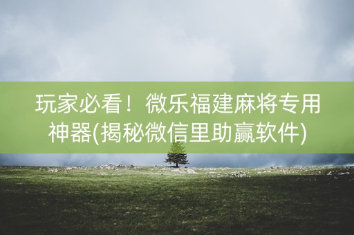 玩家必看！微乐福建麻将专用神器(揭秘微信里助赢软件)
