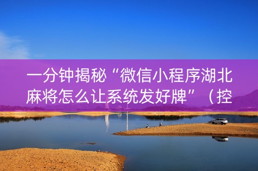一分钟揭秘“微信小程序湖北麻将怎么让系统发好牌”（控牌器)