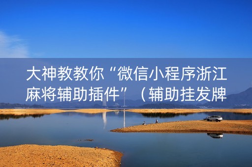 大神教教你“微信小程序浙江麻将辅助插件”（辅助挂发牌规律)
