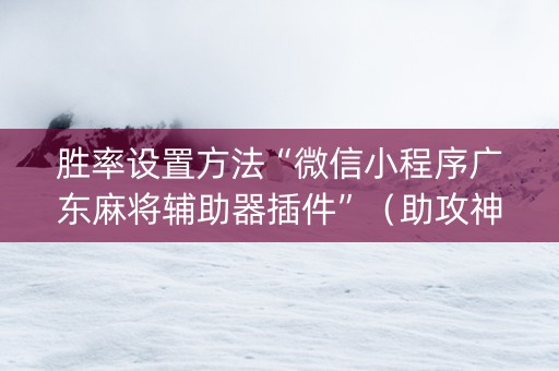 胜率设置方法“微信小程序广东麻将辅助器插件”（助攻神器)