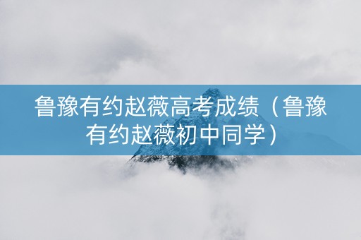 鲁豫有约赵薇高考成绩（鲁豫有约赵薇初中同学）