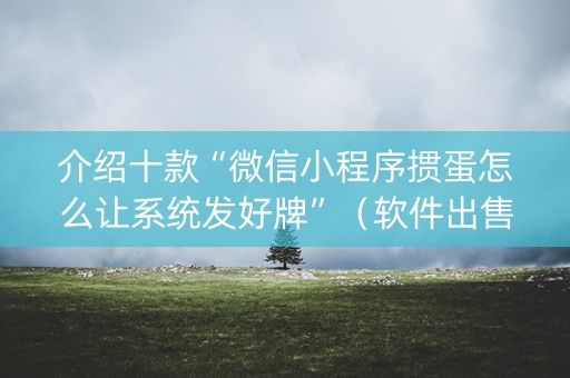 介绍十款“微信小程序掼蛋怎么让系统发好牌”（软件出售)