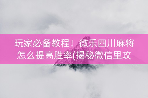 玩家必备教程！微乐四川麻将怎么提高胜率(揭秘微信里攻略插件)