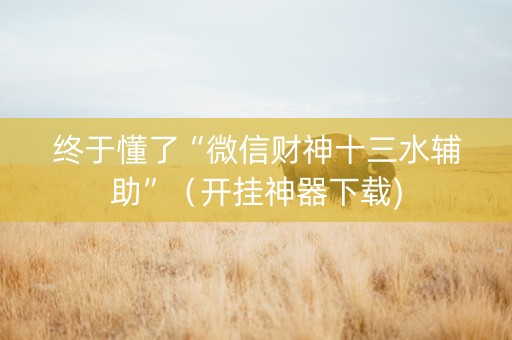 终于懂了“微信财神十三水辅助”（开挂神器下载)