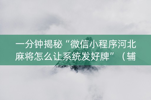 一分钟揭秘“微信小程序河北麻将怎么让系统发好牌”（辅助软件)