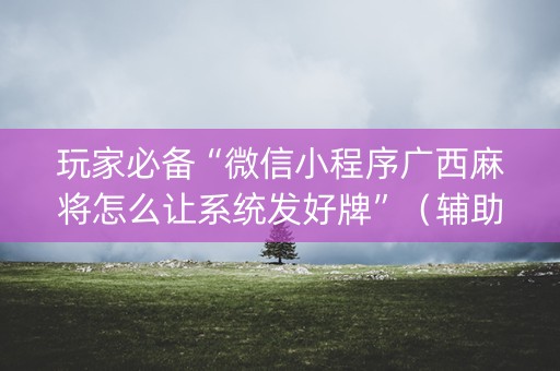 玩家必备“微信小程序广西麻将怎么让系统发好牌”（辅助器下载)