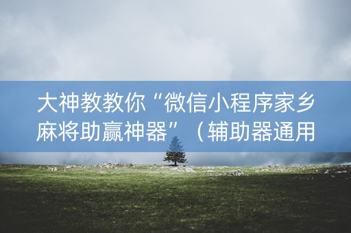 大神教教你“微信小程序家乡麻将助赢神器”（辅助器通用版)