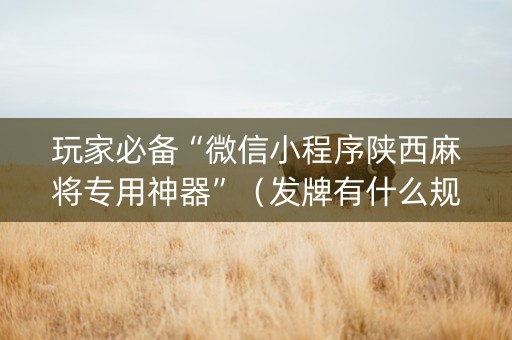 玩家必备“微信小程序陕西麻将专用神器”（发牌有什么规律吗)