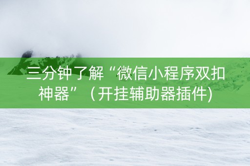 三分钟了解“微信小程序双扣神器”（开挂辅助器插件)
