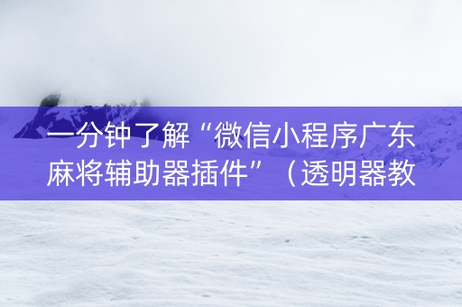 一分钟了解“微信小程序广东麻将辅助器插件”（透明器教程)