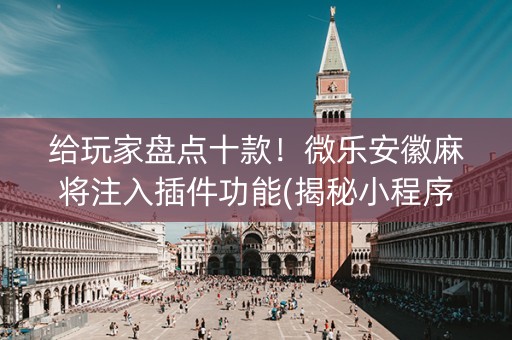 给玩家盘点十款！微乐安徽麻将注入插件功能(揭秘小程序助赢软件)