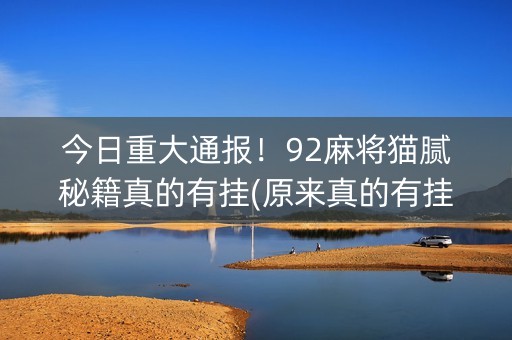 今日重大通报！92麻将猫腻秘籍真的有挂(原来真的有挂)