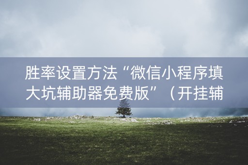 胜率设置方法“微信小程序填大坑辅助器免费版”（开挂辅助插件)