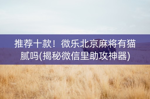 推荐十款！微乐北京麻将有猫腻吗(揭秘微信里助攻神器)
