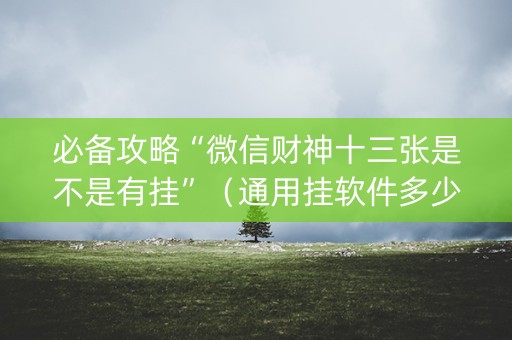 必备攻略“微信财神十三张是不是有挂”（通用挂软件多少钱)