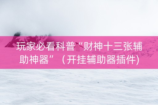 玩家必看科普“财神十三张辅助神器”（开挂辅助器插件)