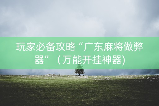 玩家必备攻略“广东麻将做弊器”（万能开挂神器)