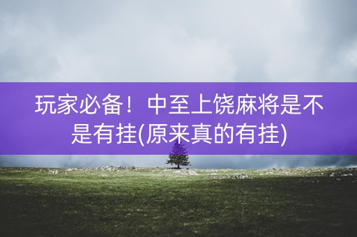 玩家必备！中至上饶麻将是不是有挂(原来真的有挂)