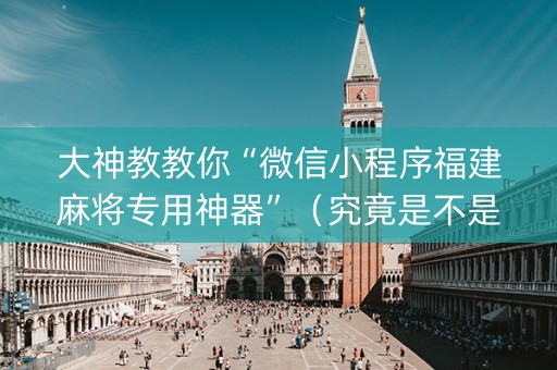 大神教教你“微信小程序福建麻将专用神器”（究竟是不是有挂)