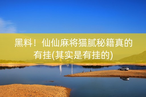 黑料！仙仙麻将猫腻秘籍真的有挂(其实是有挂的)