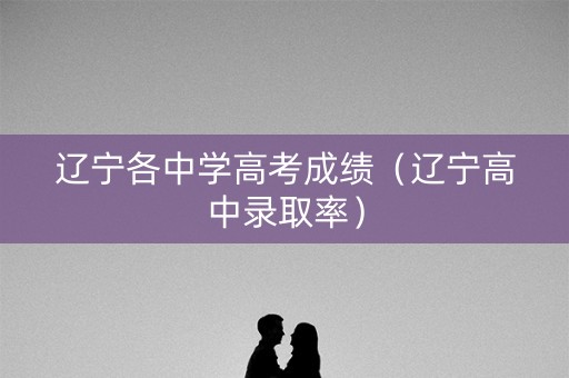 辽宁各中学高考成绩（辽宁高中录取率）