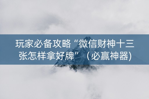 玩家必备攻略“微信财神十三张怎样拿好牌”（必赢神器)