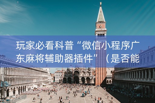玩家必看科普“微信小程序广东麻将辅助器插件”（是否能开挂)