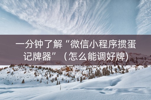 一分钟了解“微信小程序掼蛋记牌器”（怎么能调好牌)
