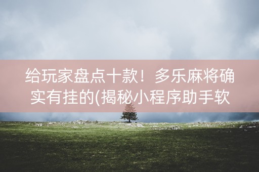 给玩家盘点十款！多乐麻将确实有挂的(揭秘小程序助手软件)